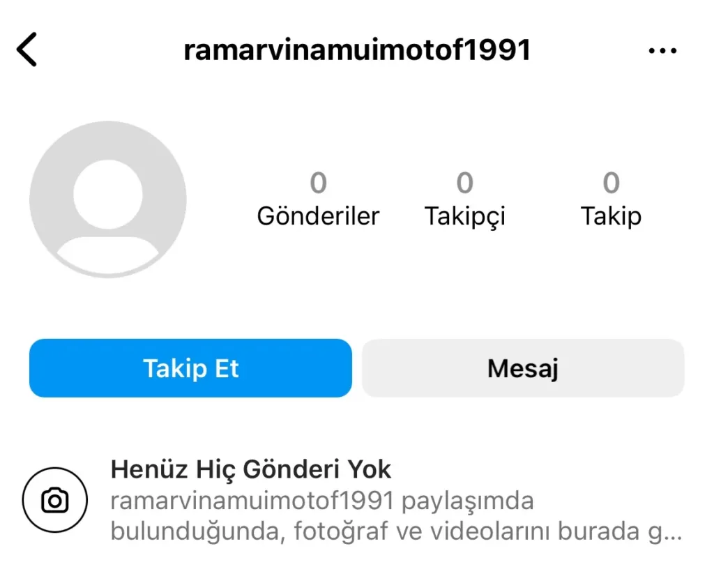 fake instagram hesapları nasıl anlaşılır boş biyografi
