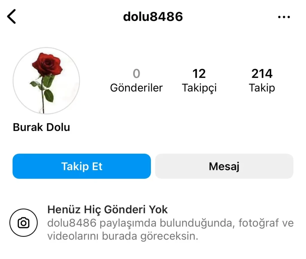 fake instagram hesapları nasıl anlaşılır takipçi oranı