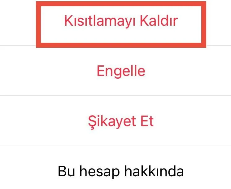 Instagram hesap kısıtlamasını kaldırma butonu