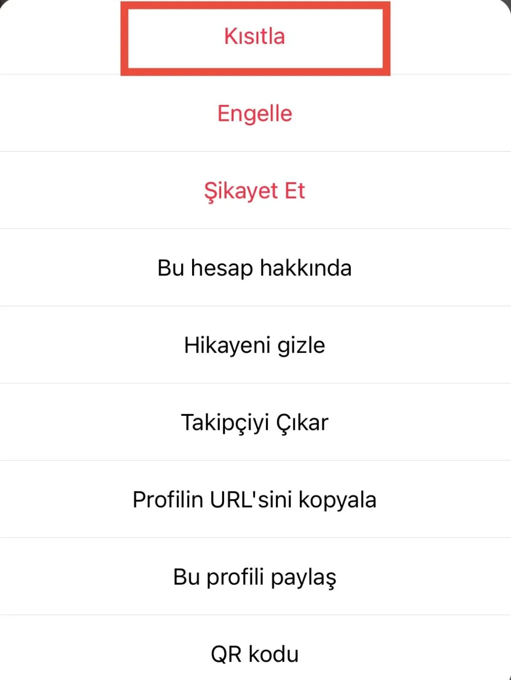 Instagram profil üzerinden kısıtlama menüsü