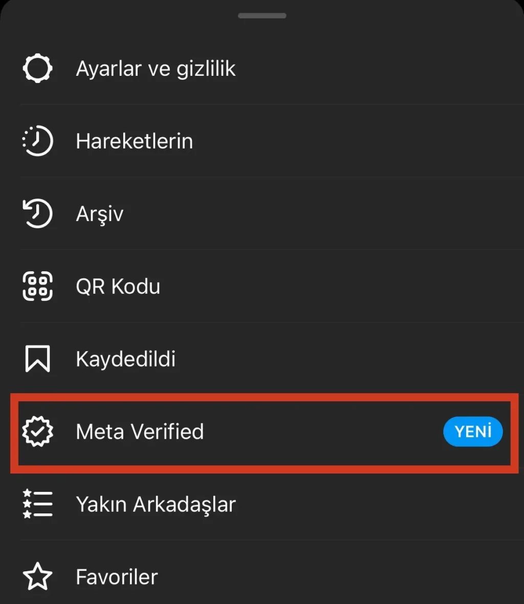 Instagram ücretli mavi tik başvuru menüsü