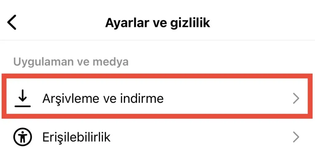 Instagram arşivleme ve indirme menüsü