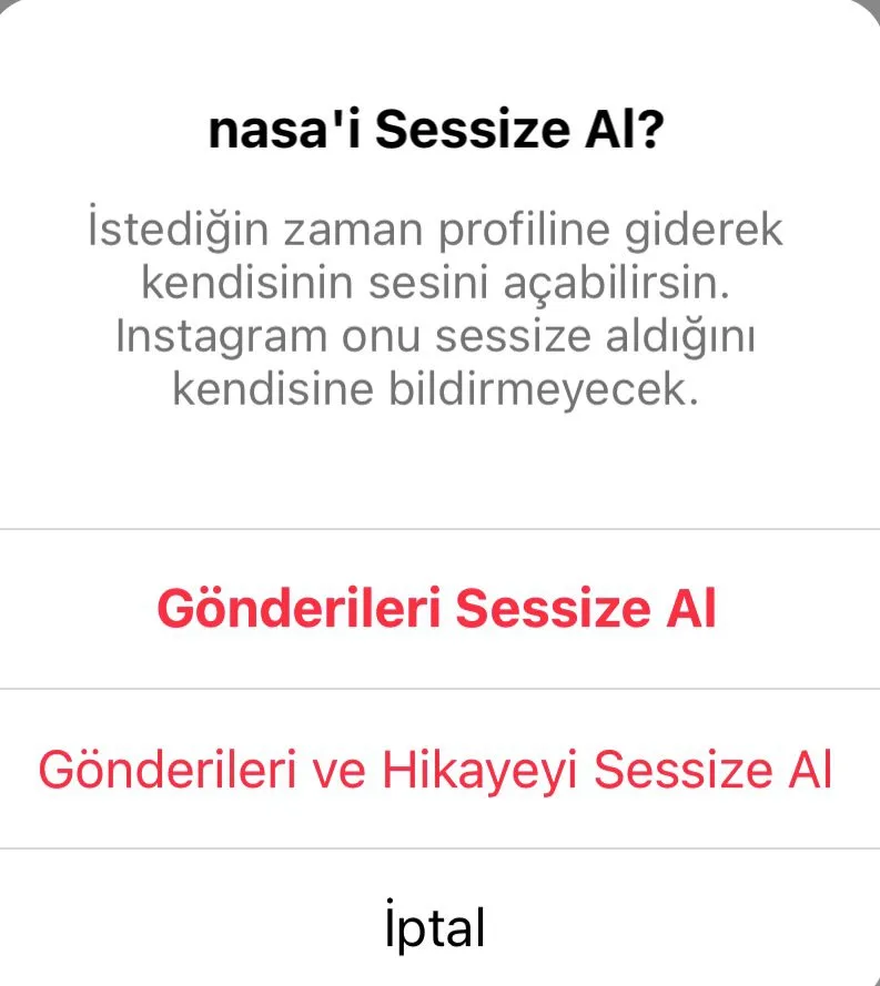 Instagram gönderi ve hikaye sessize alma onayı