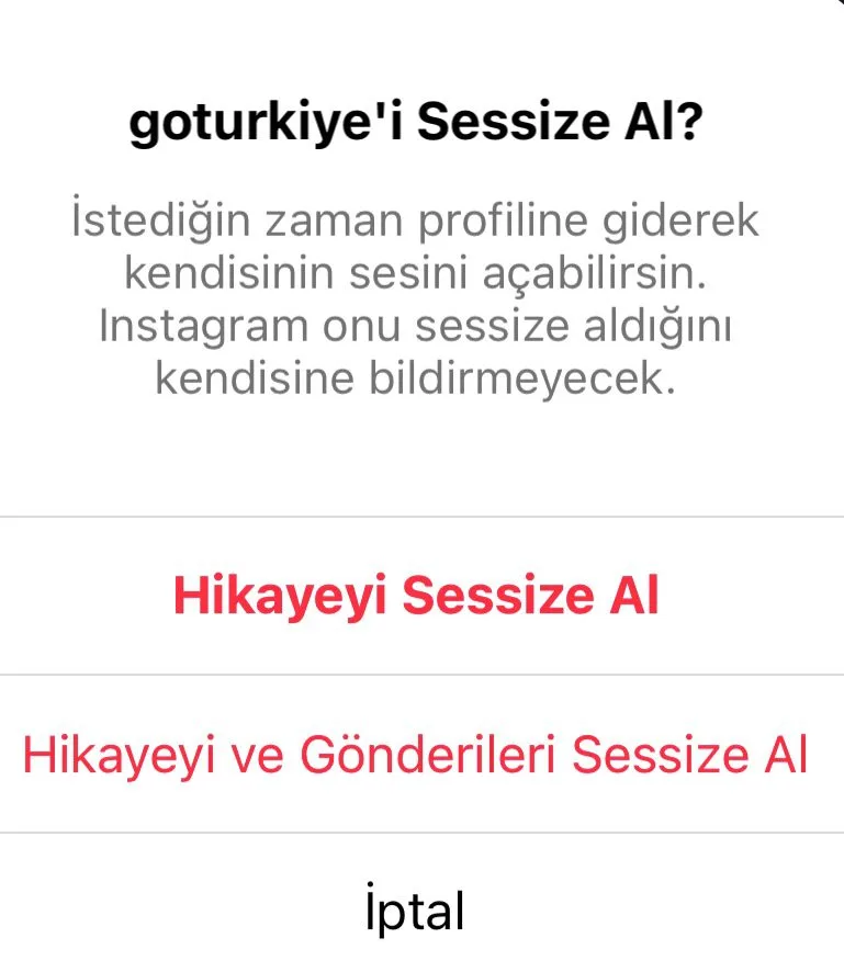 Instagram hikayeler üzerinden sessize alma menüsü