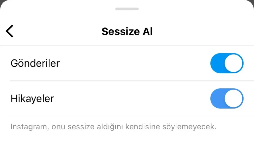 Instagram gönderi ve hikaye sessize alma anahtarları