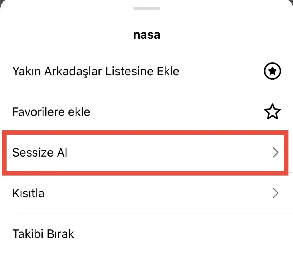 Takip seçenekleri menüsündeki sessize al butonu