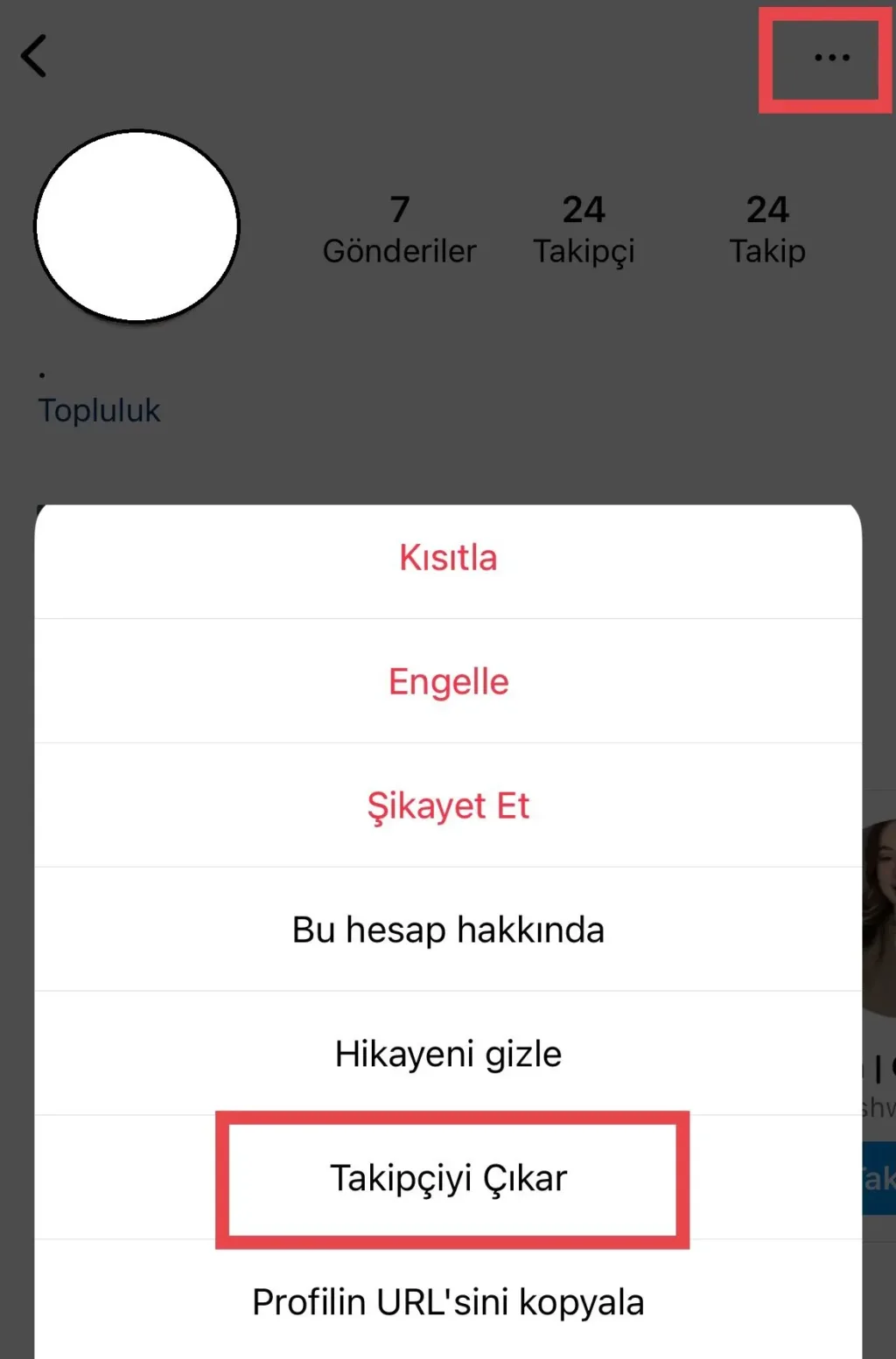 Instagram profil üzerinden takipçi silme menüsü
