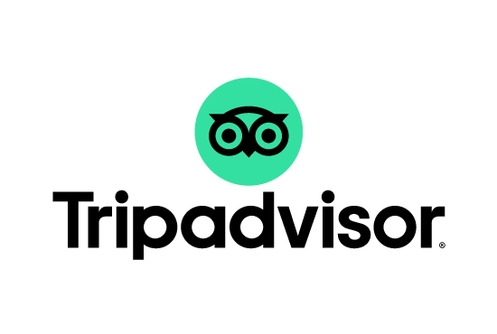 Tripadvisor Kullanıcı İstatistikleri 2026: Kaç Kişi Tripadvisor Kullanıyor?