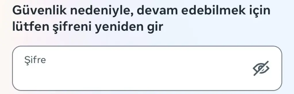 Instagram şifre doğrulama ekranı