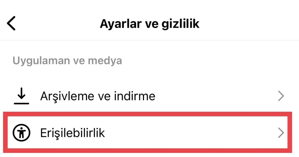 Instagram erişilebilirlik ayarları seçeneği
