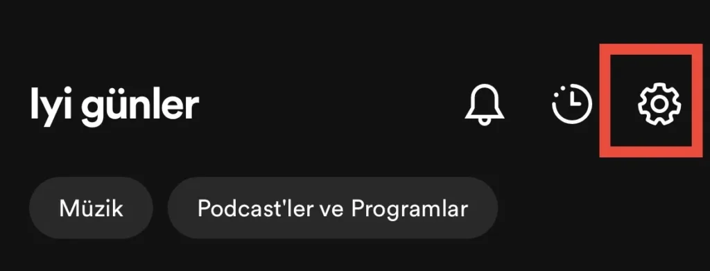 spotify gizli oturum 