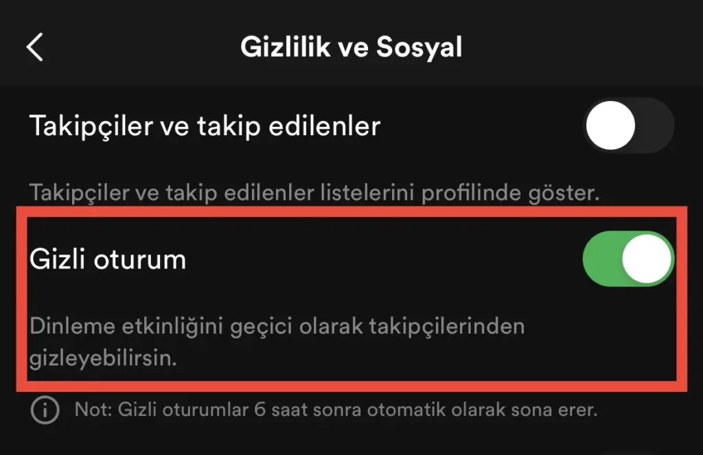 spotify gizli oturum 