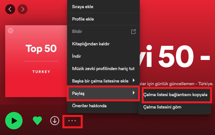 spotify playlist paylaş