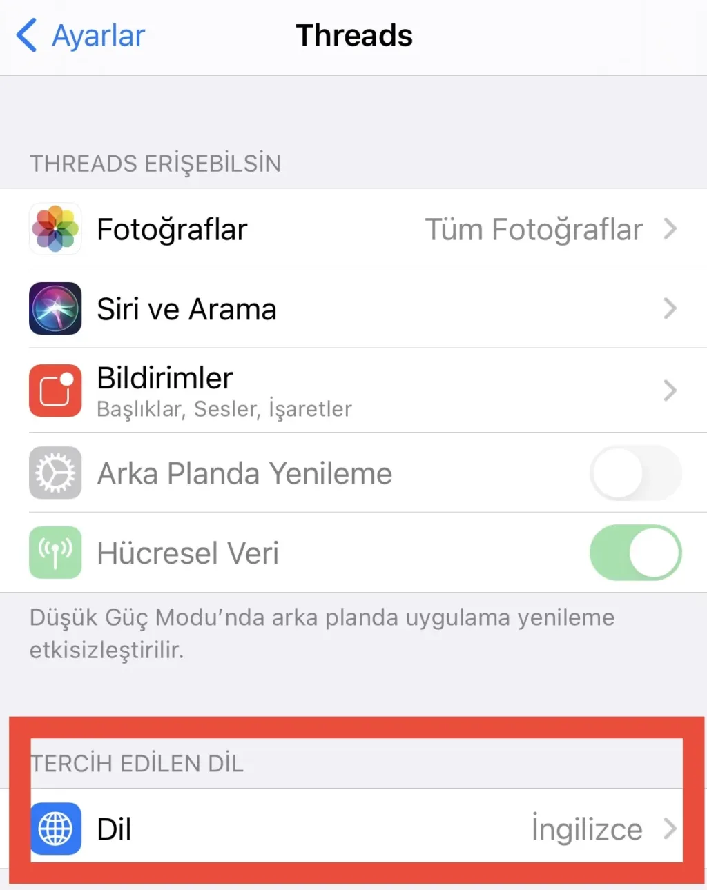 threads dil nasıl değiştirilir