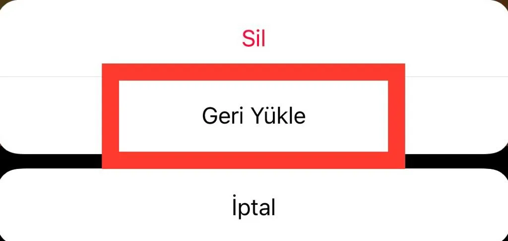 Instagram silinen fotoğrafı geri yükle butonu