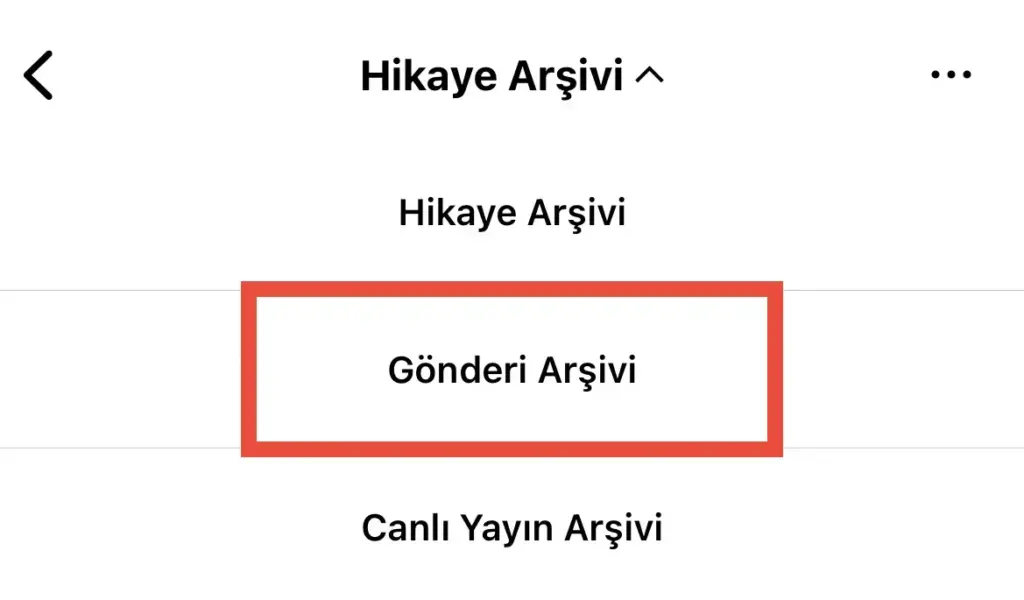 Arşivlenen Instagram Gönderilerini Nasıl Görebilirim?