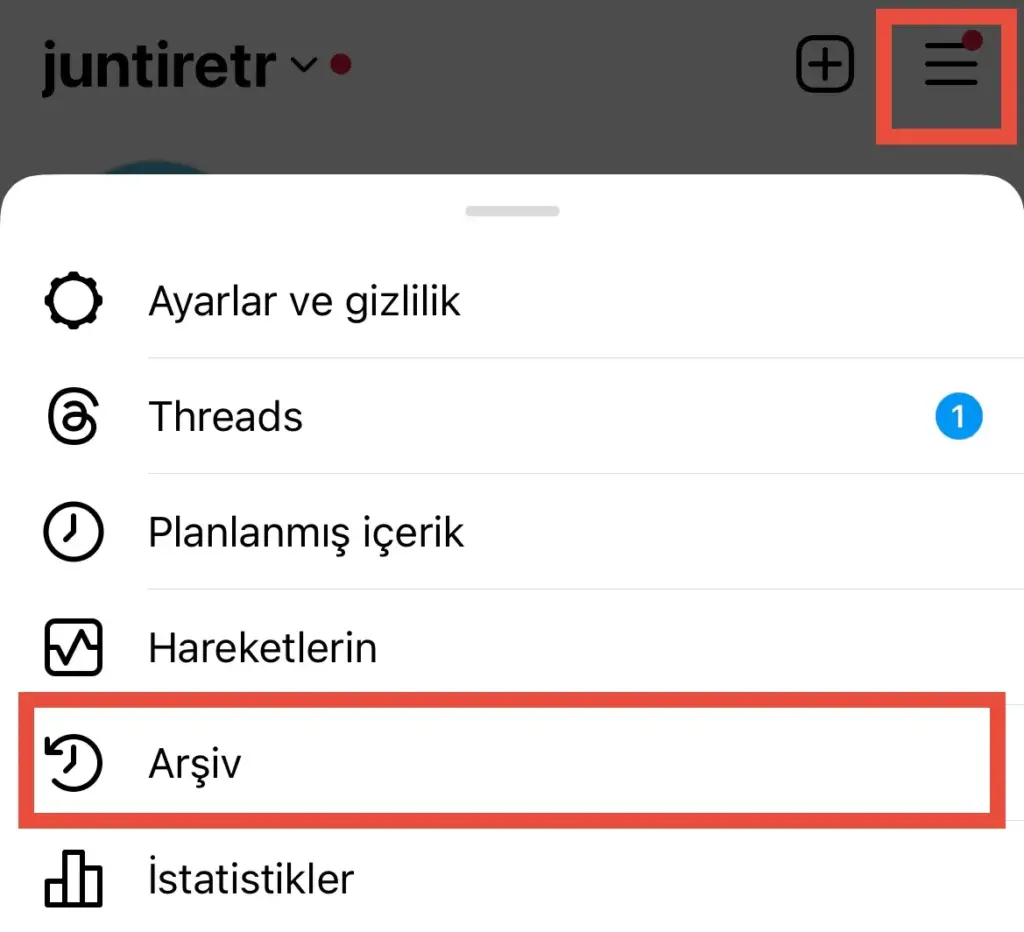 Arşivlenen Instagram Gönderilerini Nasıl Görebilirim?