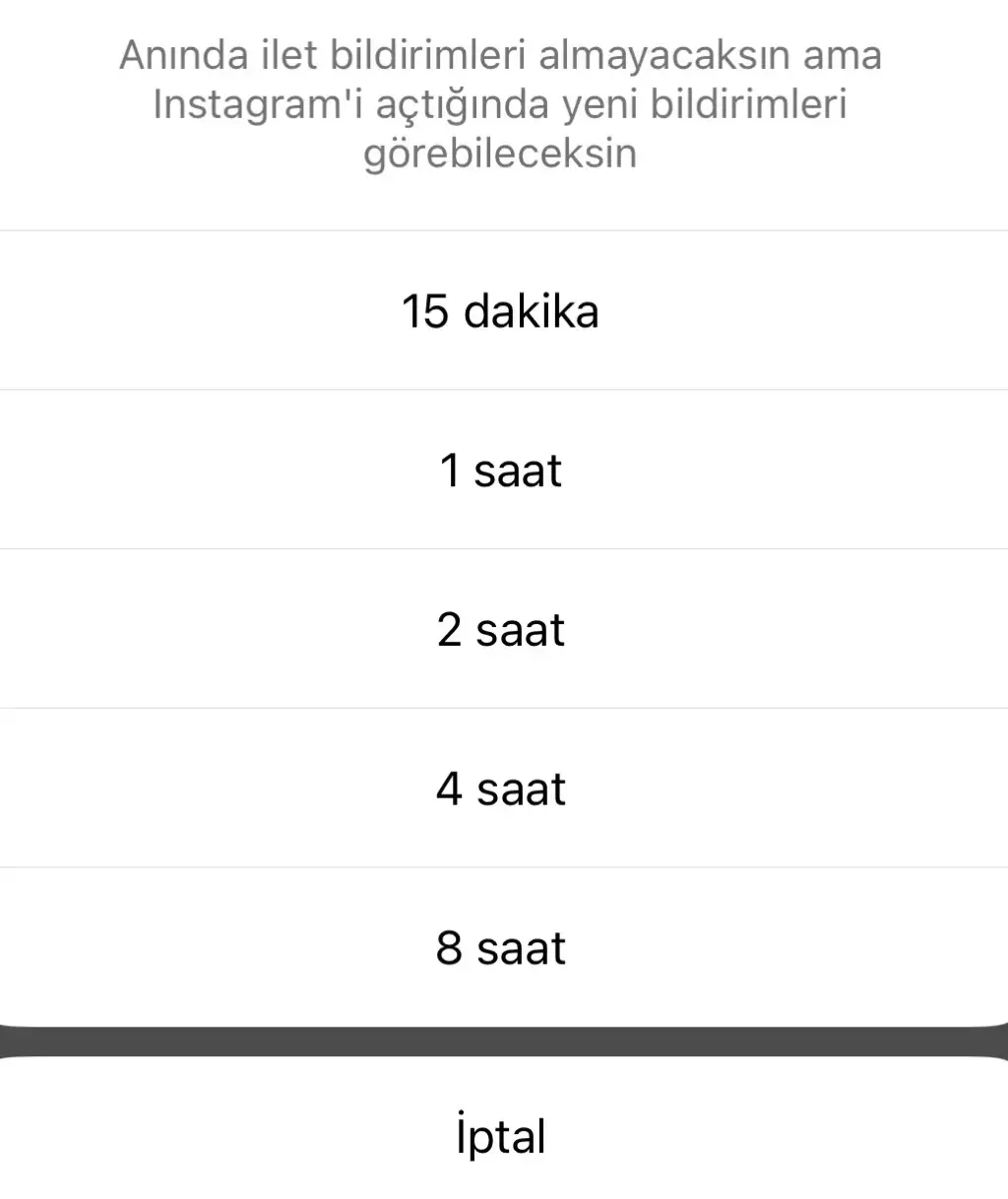 Instagram Bildirimleri Telefondan Nasıl Kapatılır?
