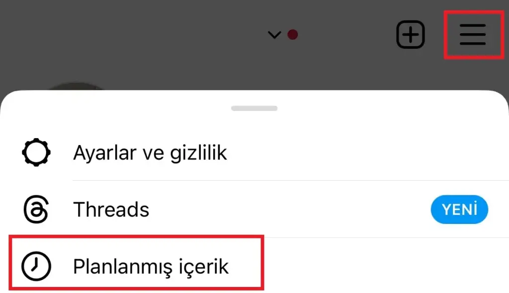 Planlanmış Instagram Gönderileri Nasıl Yönetilir?