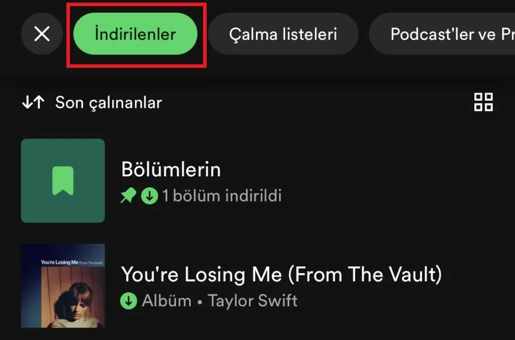Spotify Şarkı Nasıl İndirilir?
