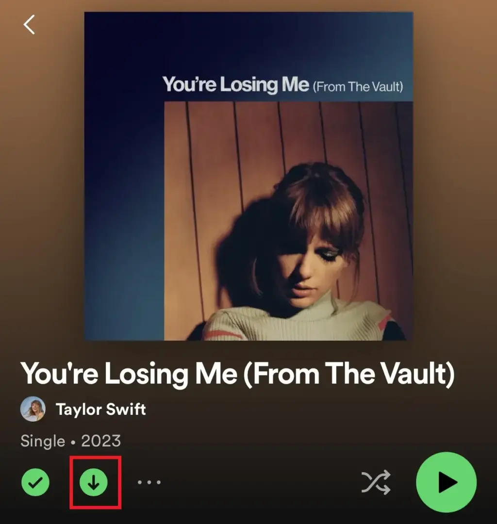 Spotify Şarkı Nasıl İndirilir? Müzikleri Çevrimdışı Dinle