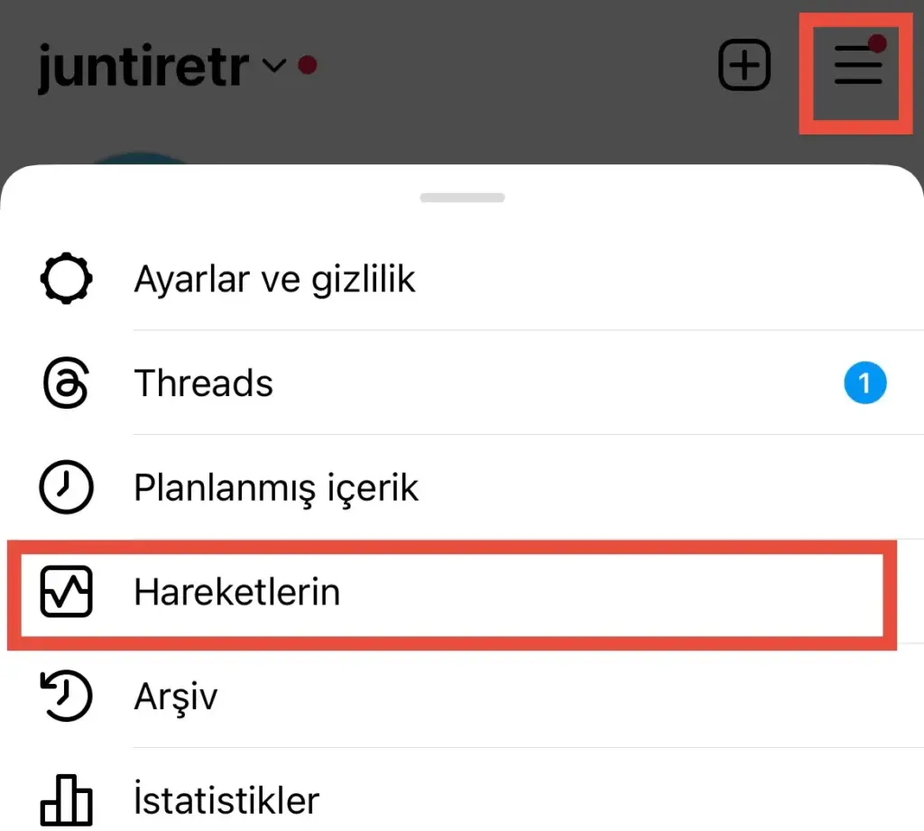 Instagram'da Aynı Anda Birden Fazla Gönderi Nasıl Arşivlenir?