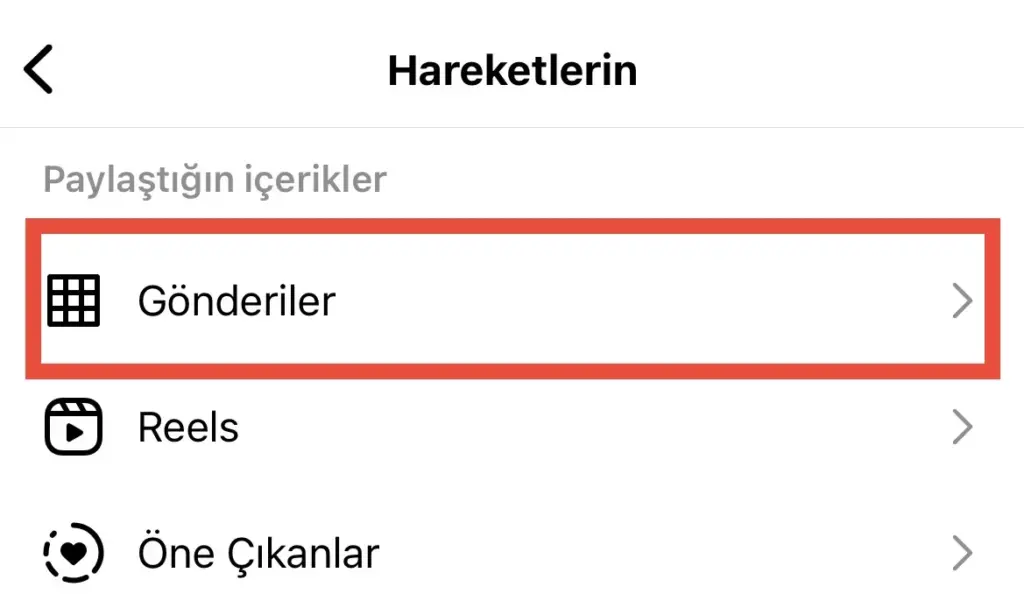Instagram'da Aynı Anda Birden Fazla Gönderi Nasıl Arşivlenir?