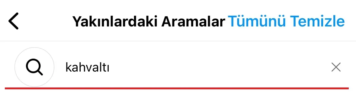 Instagram Arama Geçmişi Bulma Nasıl Yapılır?