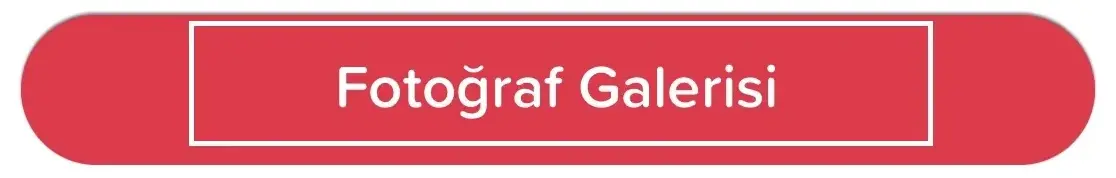 Instagram Fotoğraf Galerisi Seçimi