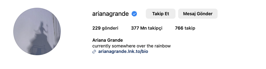 Ariana Grande Instagram Hesabı Kaç Takipçisi Var