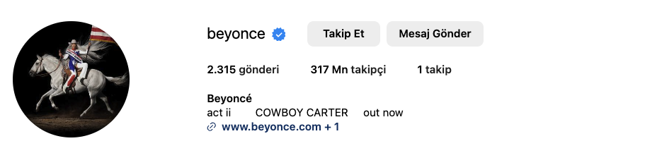 Beyonce Instagram Hesabı Takipçi Sayısı