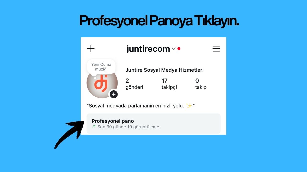 Instagram uygulamasında profilinize gidin ve Profesyonel pano'ya dokunun.