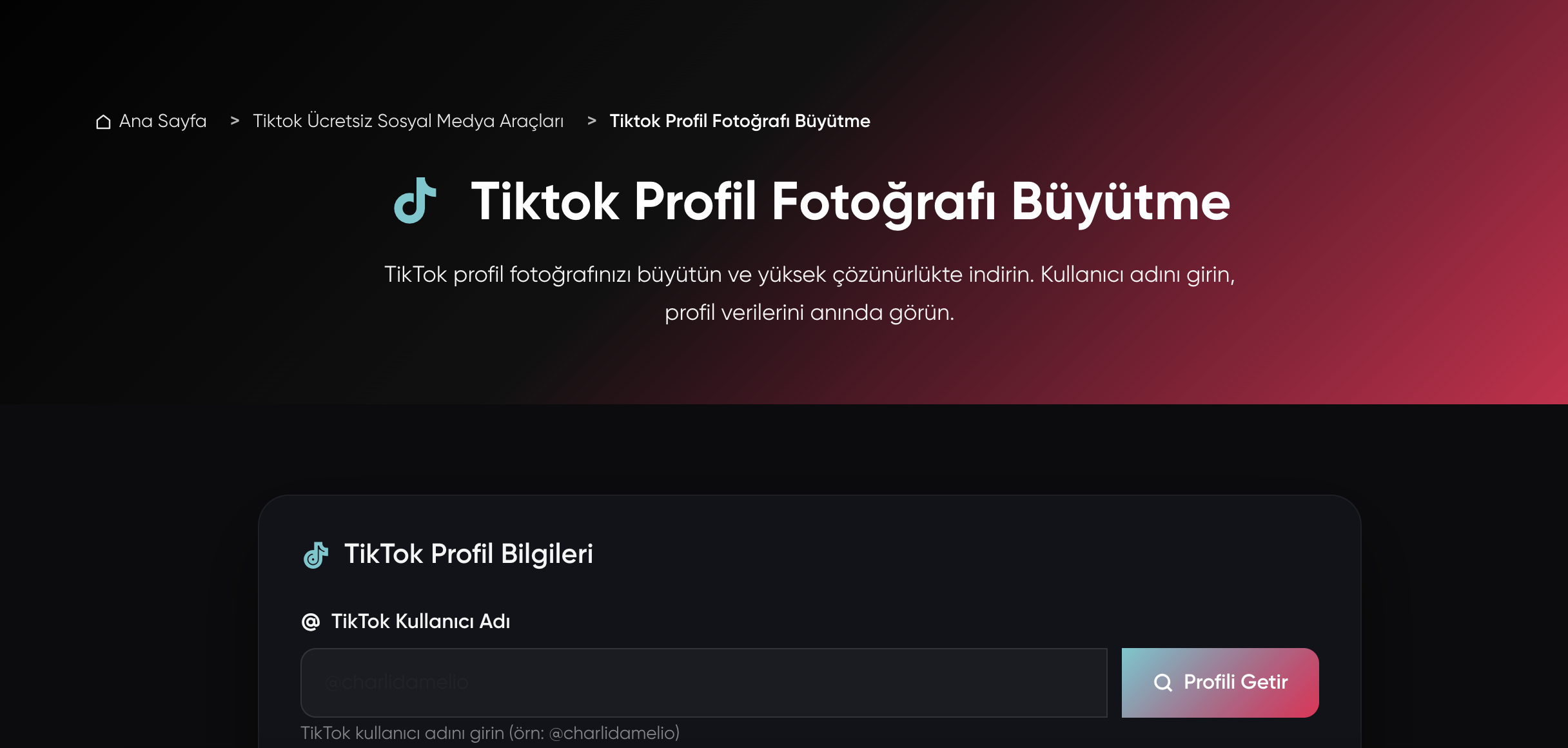 Tiktok Profil Fotoğrafı Büyütme