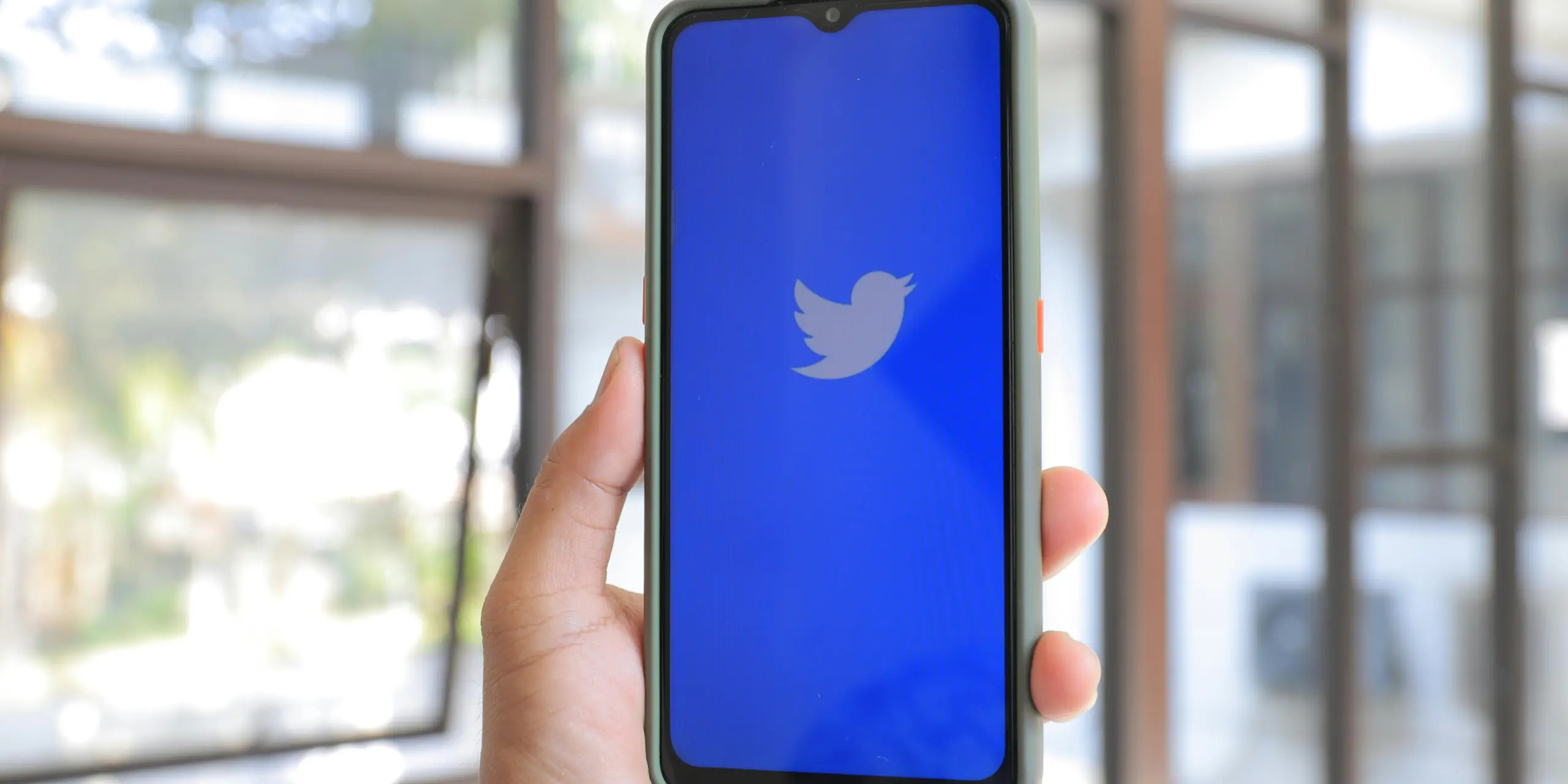 Twitter/X.com Anket Oyu Satın Al