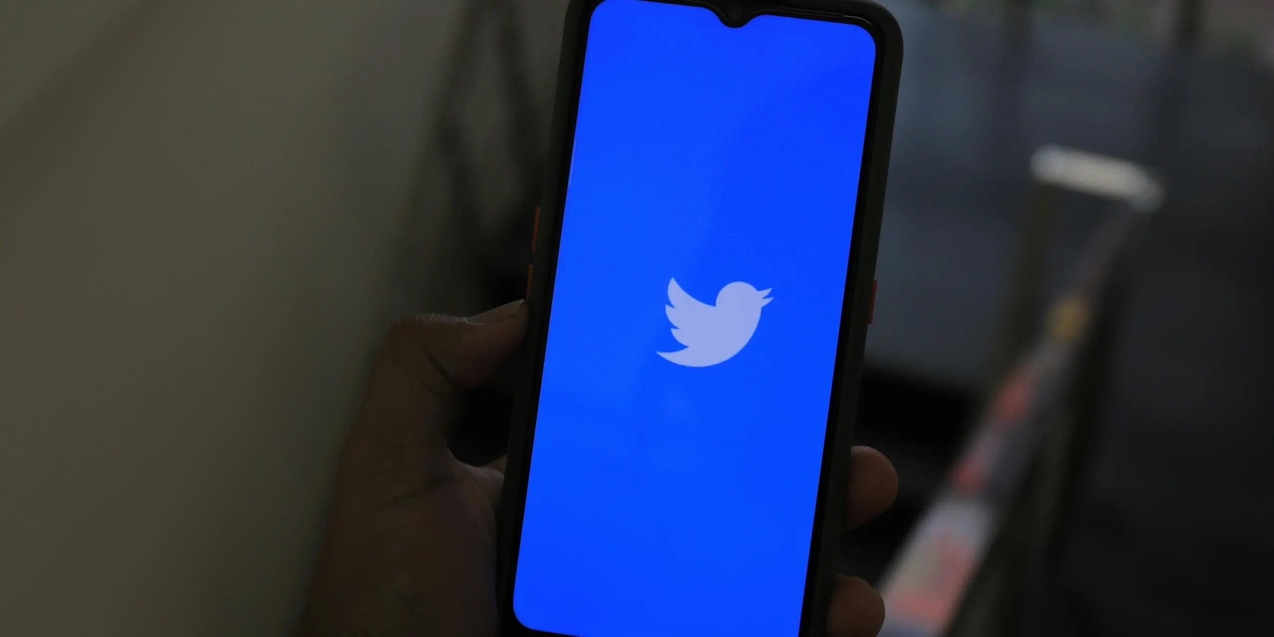 Twitter/X.com Anket Oyu Satın Al