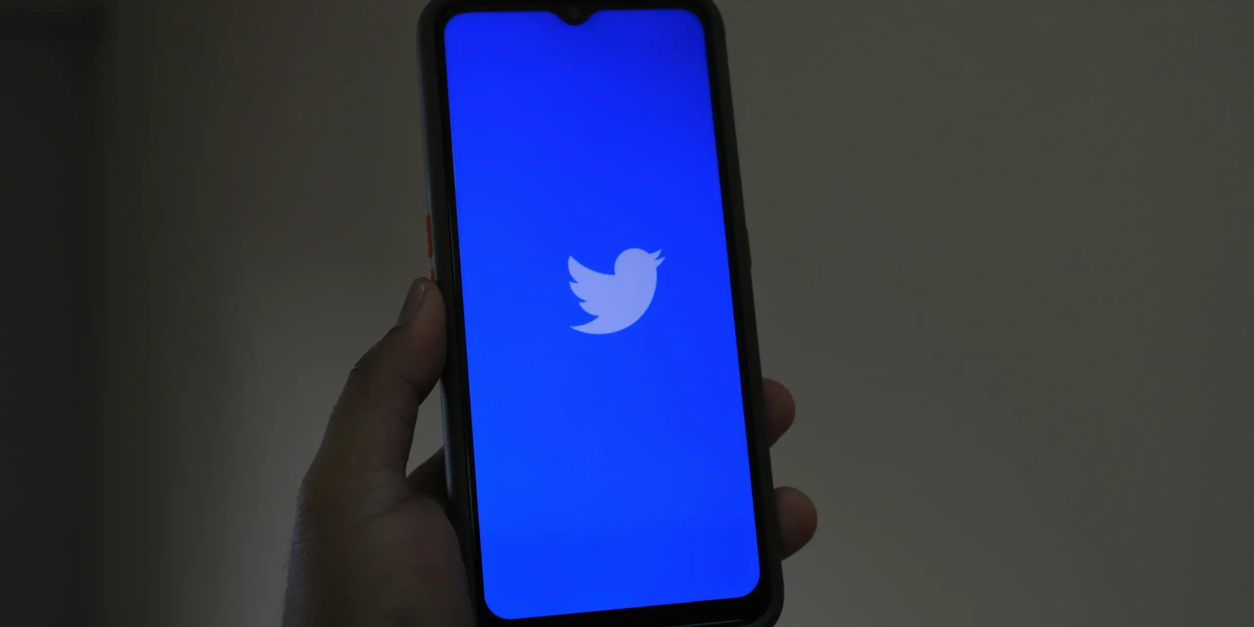 Twitter/X.com Anket Oyu Satın Al