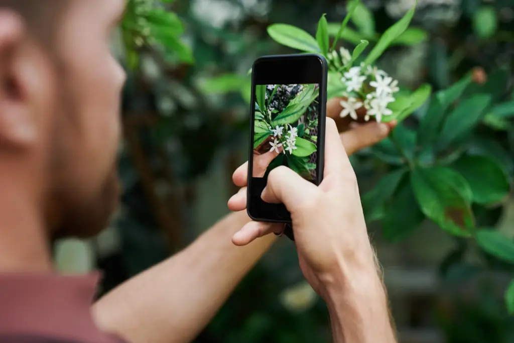 Pinterest Algoritmasında Pano Takipçi Önemli Midir? 