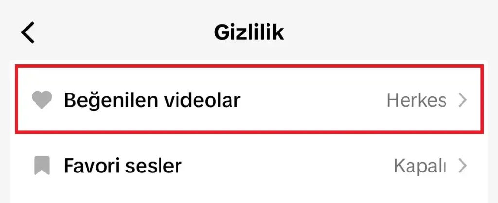 TikTok'ta Beğenilen Videoları Gizlemek