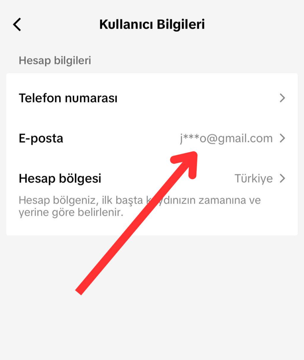 TikTok'da E-posta Adresi Nasıl Değiştirilir? Adım 6