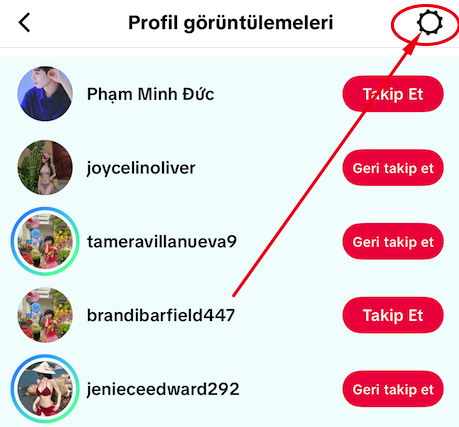 Tiktok'da Profilinize Kimler Baktı?